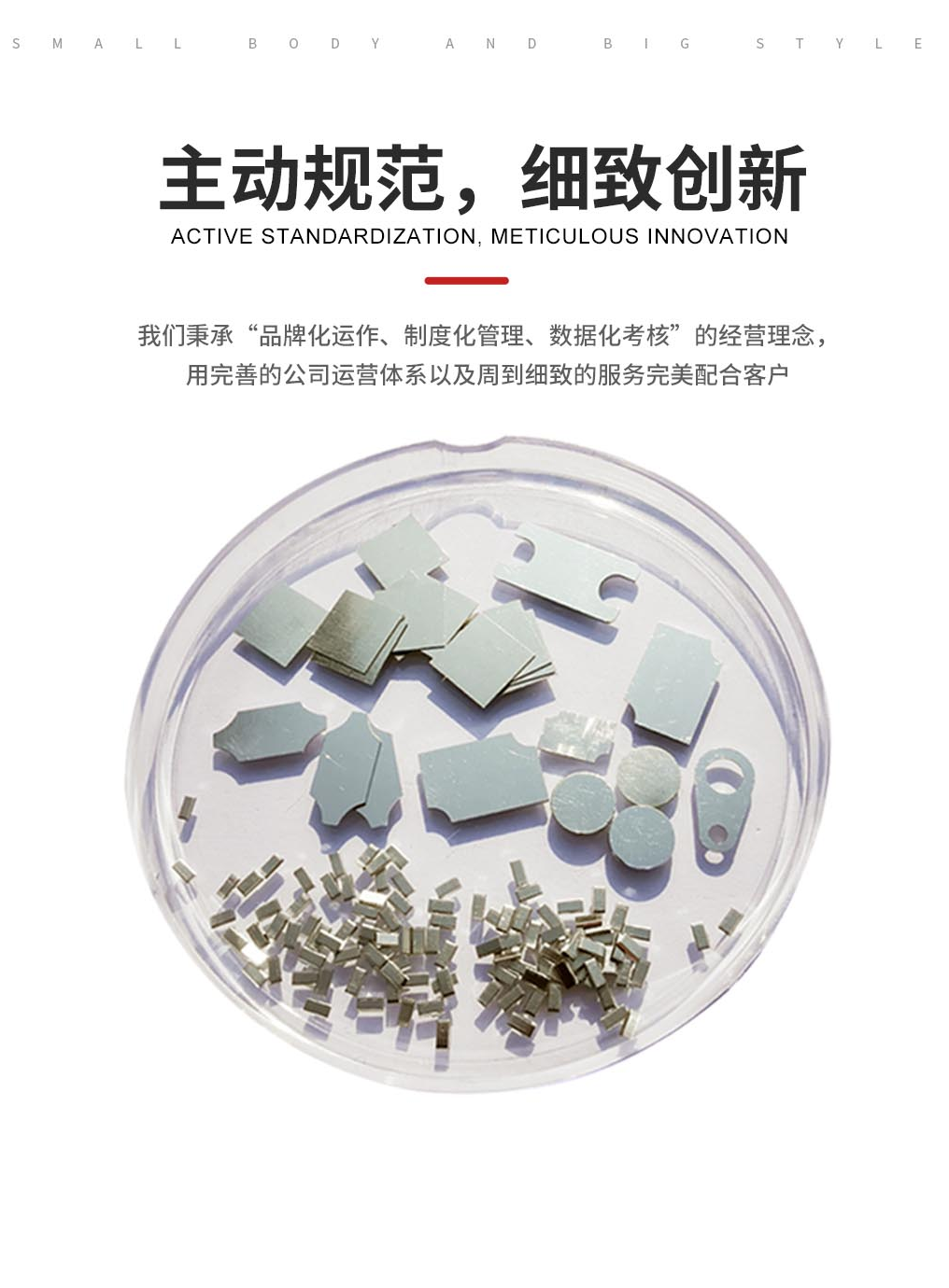 1784010344994158.png 金川岛预成型银基系列焊片图片.png
